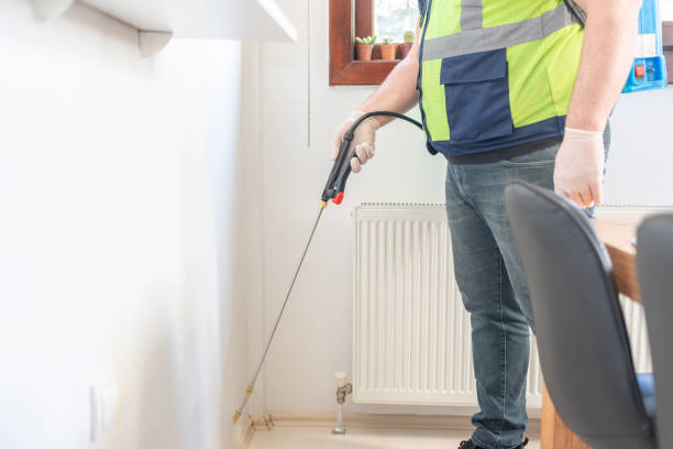 Best Termite Control Services  in Jefferson Valley Yorktown, NY