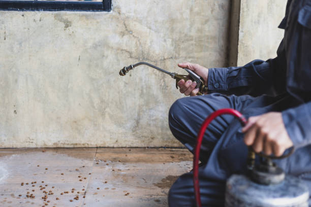Pest Prevention Services in Jefferson Valley Yorktown, NY