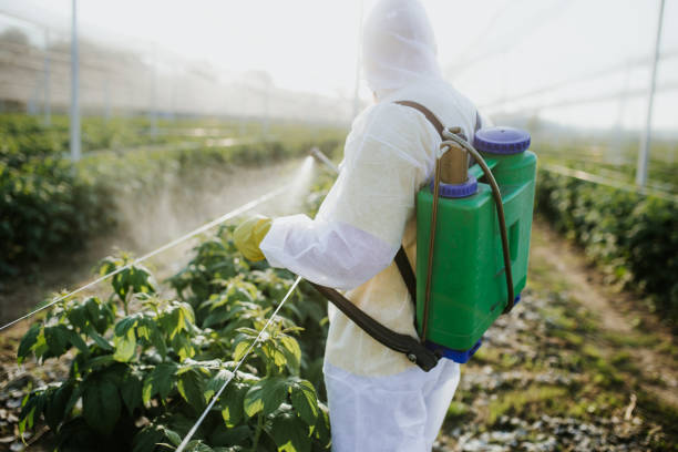 Best Bed Bug Extermination  in Jefferson Valley Yorktown, NY